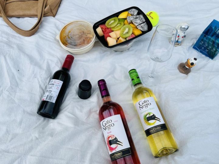 前段时间开始喜欢喝葡萄酒,买了这款黑猫葡萄酒体验一下