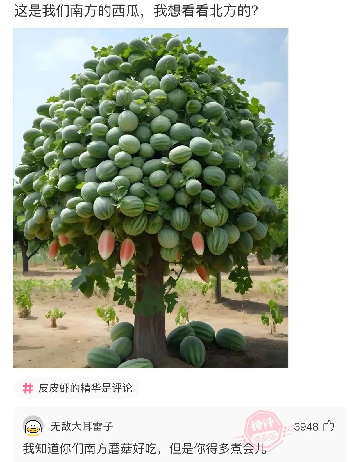 “老婆出差在宾馆给我发照片，桌子上那个是胶水吗？”哈哈哈哈