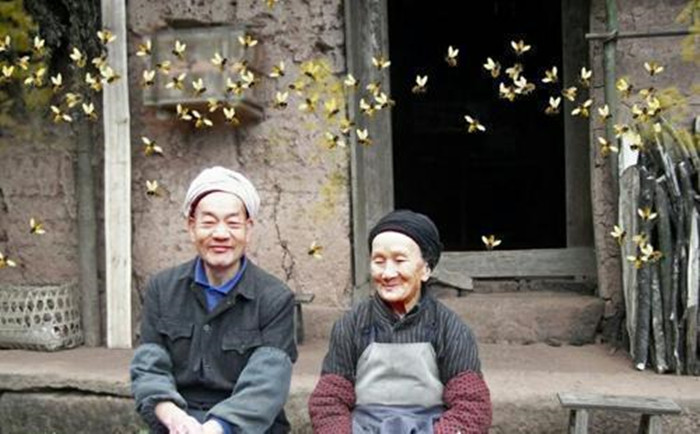 漂亮寡妇偷吃“*果禁**”，携19岁小伙隐居深山50年，创造了人间奇迹