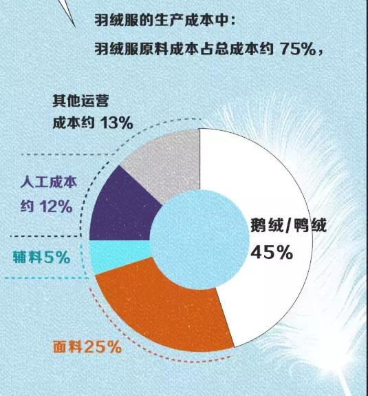 羽绒服价格为什么涨了,羽绒服为何价格上涨