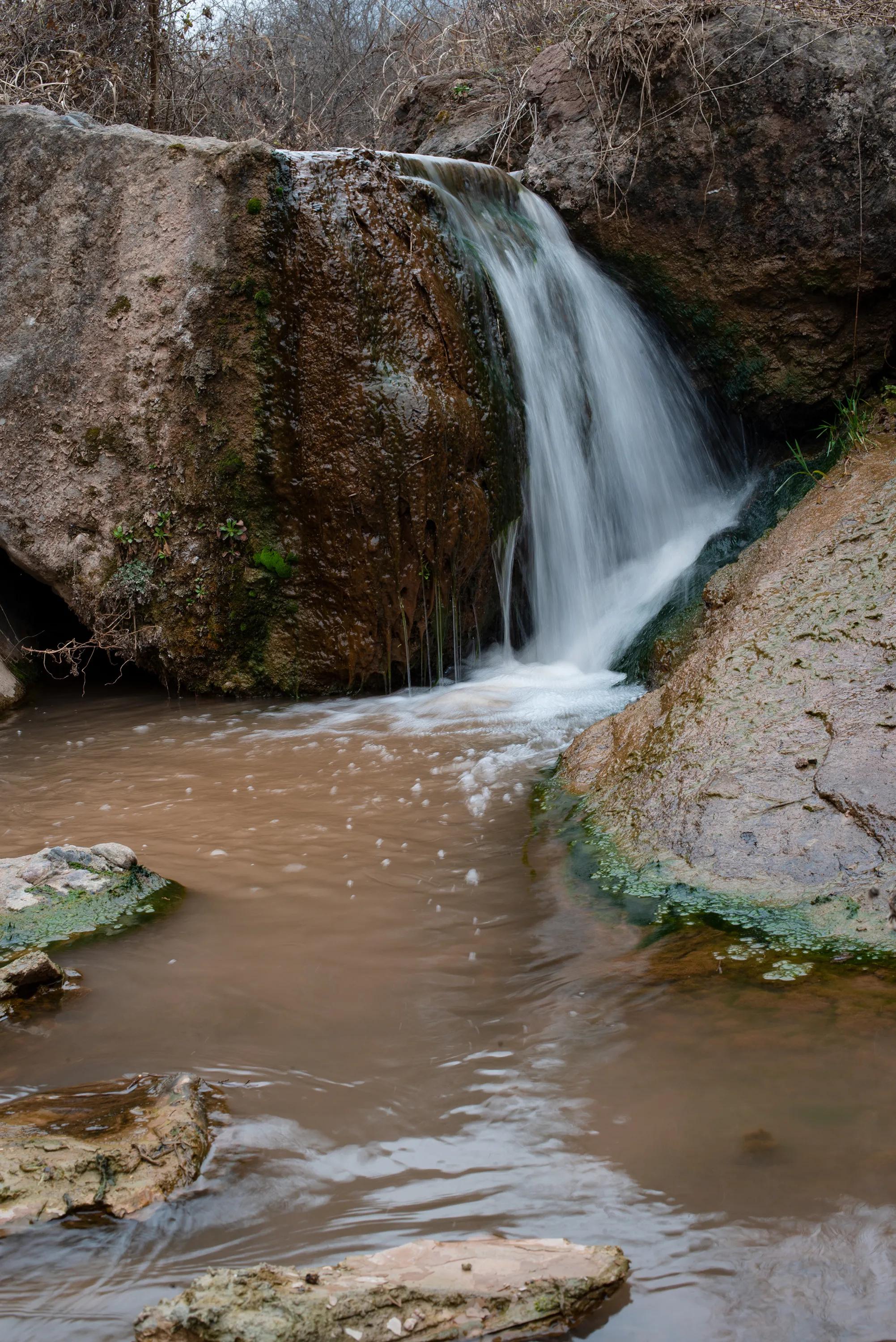 尼康调出油润感,尼康油润点的镜头