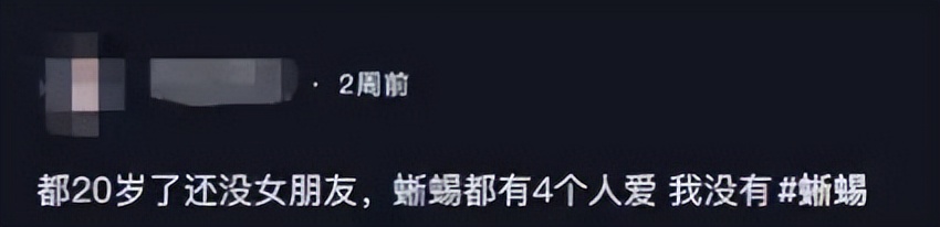 恶俗露骨的娇妻微博引争议,网友:重金求一双没看过的眼睛