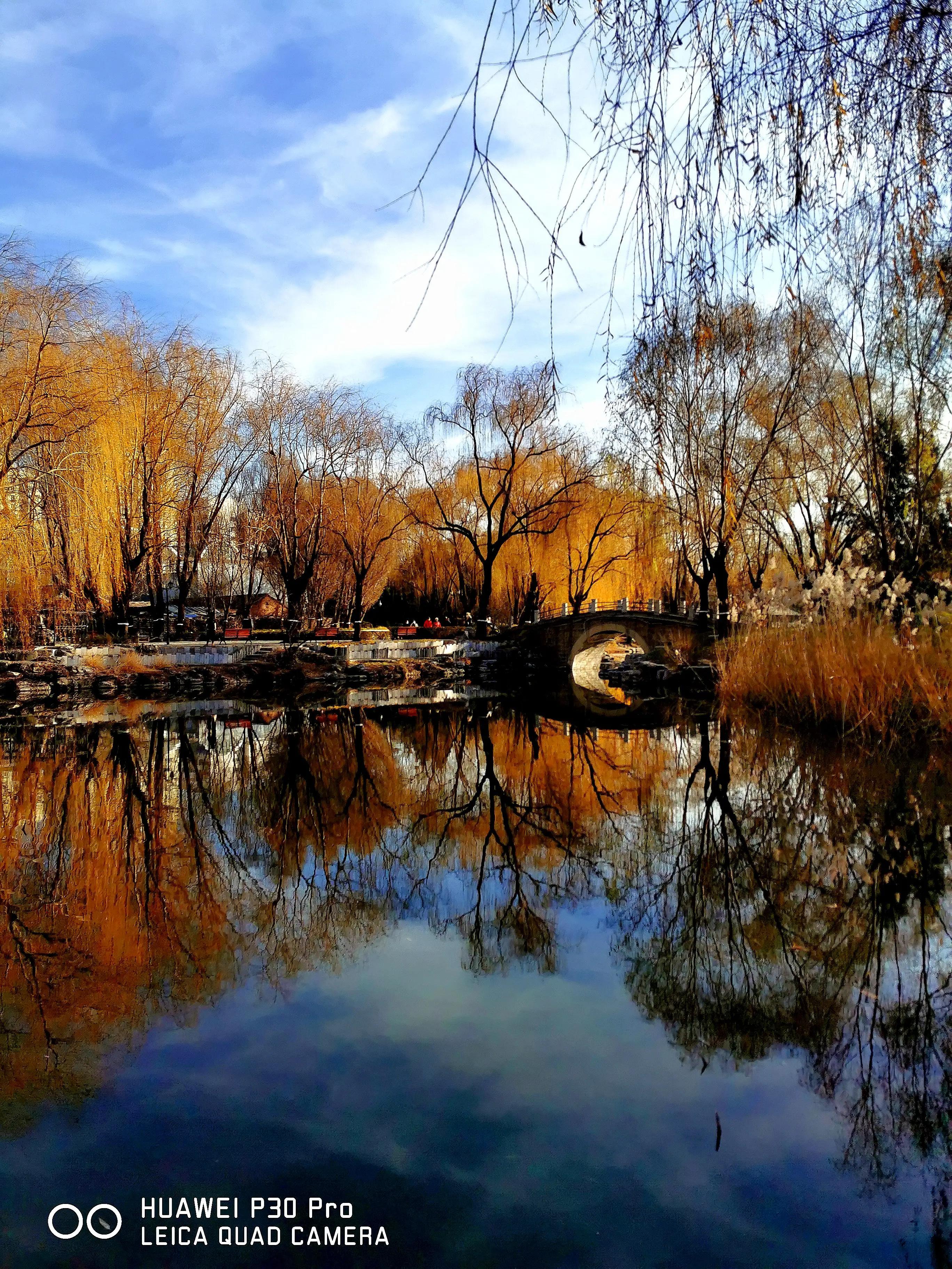 感觉如何产生,感觉如何解释