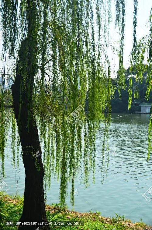 闺蜜小说知乎,闺蜜小说免费阅读