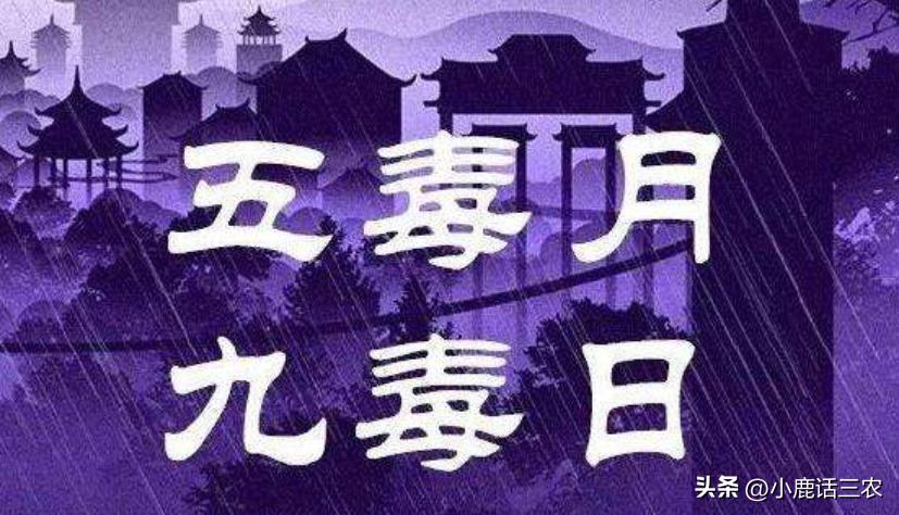 五月十七是好日子吗,五月十七是不是好日子