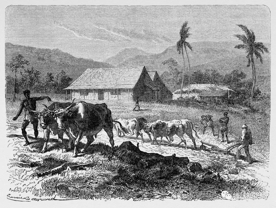 法属圭亚那全称,法属圭亚那是干嘛的