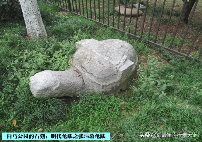 白马公园白马石刻朝代,公园石刻精品欣赏