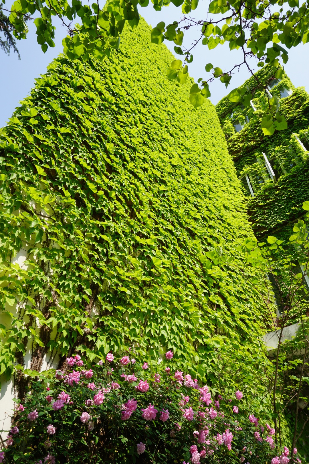 深度解析上海理工大学,上海理工大学小吗