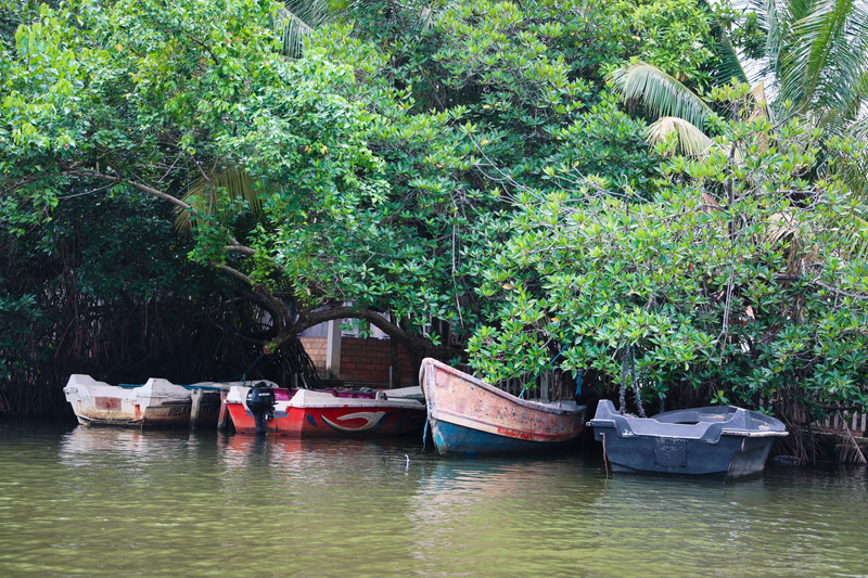 斯里兰卡旅游攻略必去景点,斯里兰卡旅游攻略最佳时间