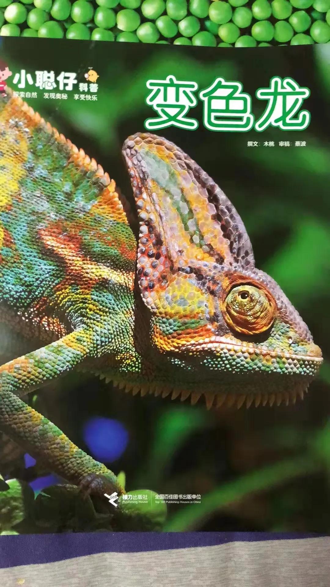 小聪仔科普版过刊值得买吗,小聪仔科普版值得买吗