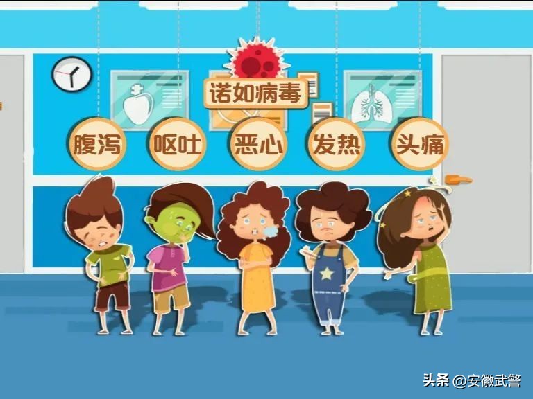 甲流和诺如病毒的区别,甲流和诺如可以吃布洛芬吗