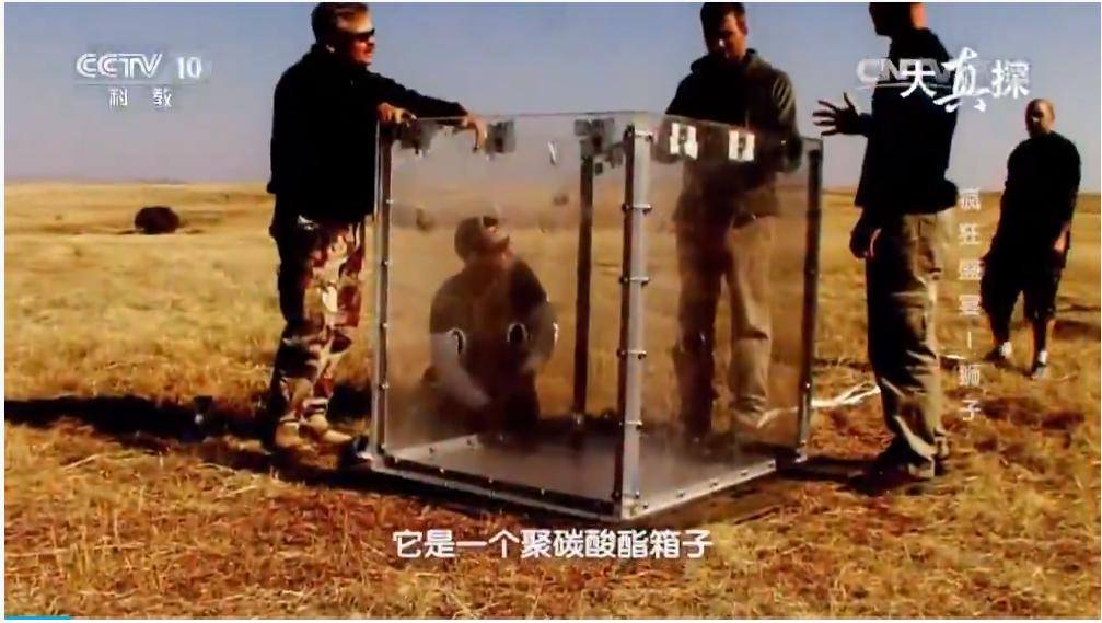 两个外国人吃狮子,两个外国人挑战被各种生物咬