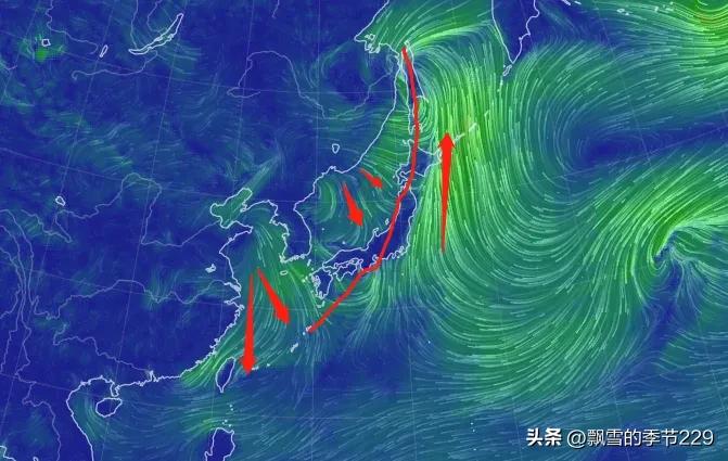 关于日本福岛核废水排入大海看法,日本福岛核废水已经排入大海了吗