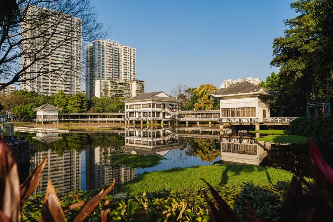 广州这条路，治好了我的审美疲劳