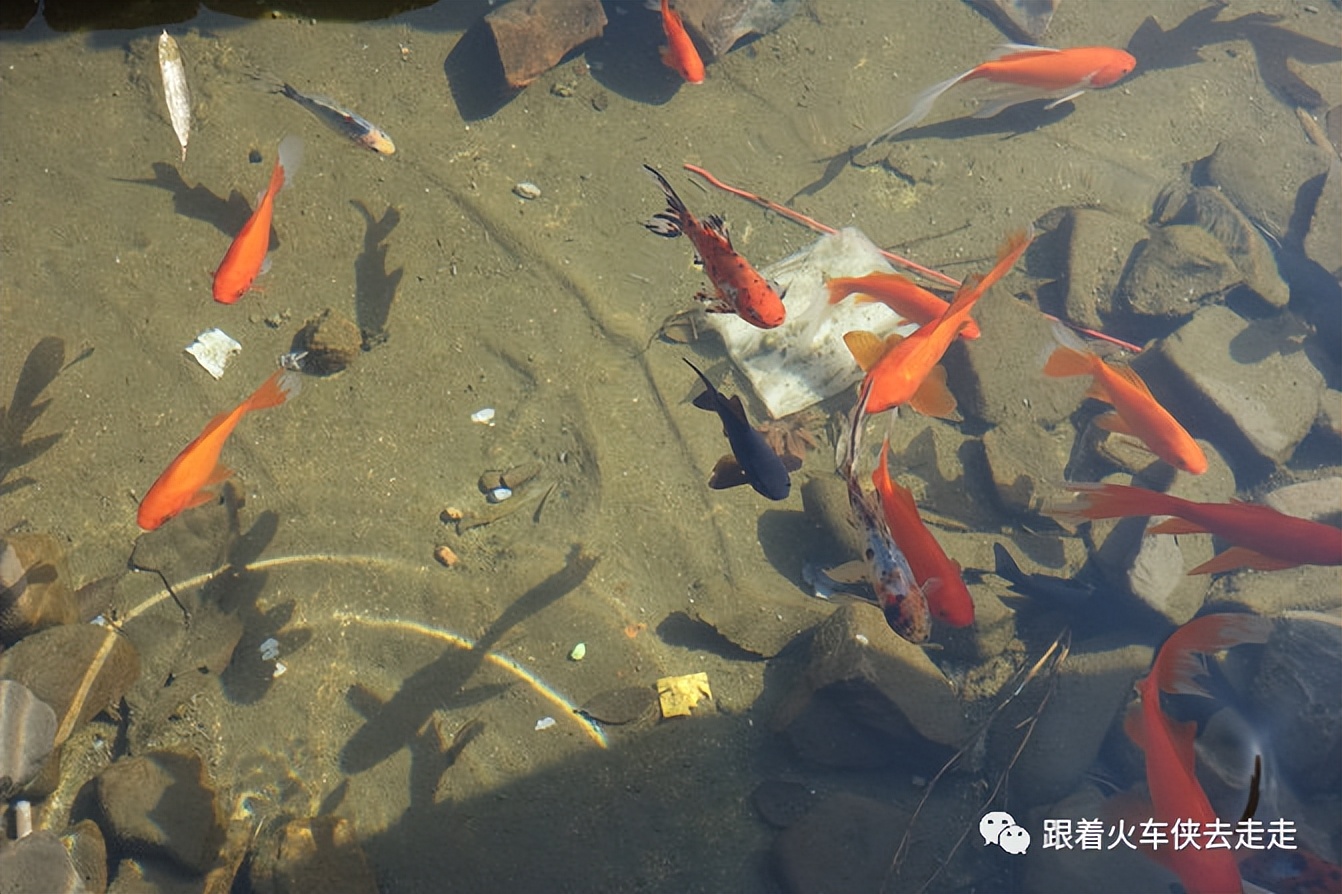 宜兴湖㳇镇旅游风景区,宜兴阳羡湖风景区值得购买吗