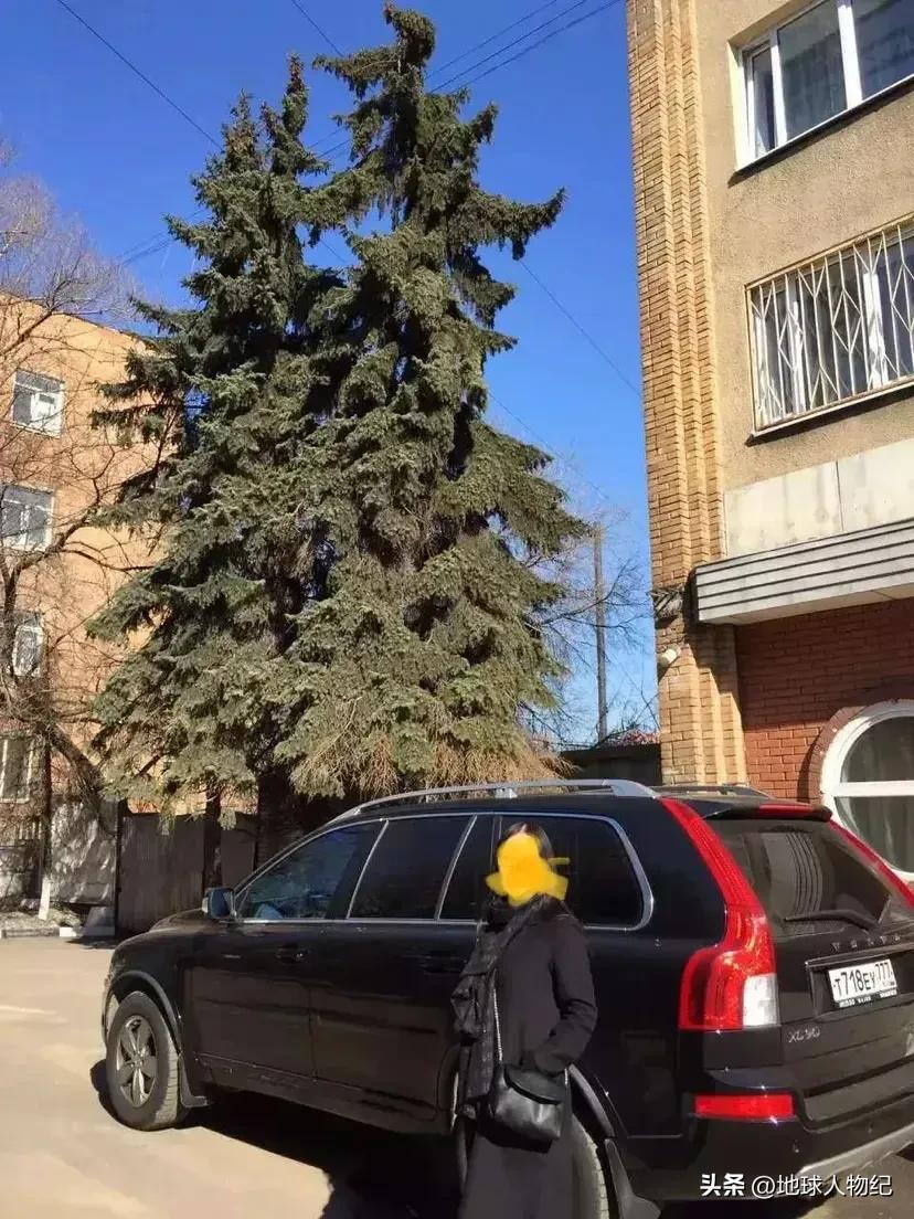 山东女子在俄罗斯打拼16年，在莫斯科郊外买一公顷土地实现田园梦