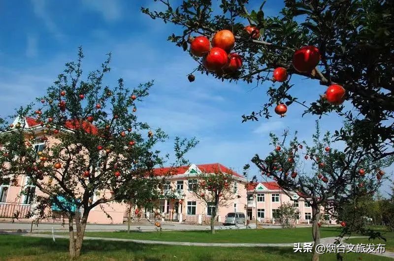 千寻青岛取景地烟台,烟台磁山航拍取景地