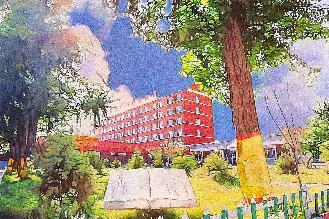 以漫画的方式，打开内蒙新东方~