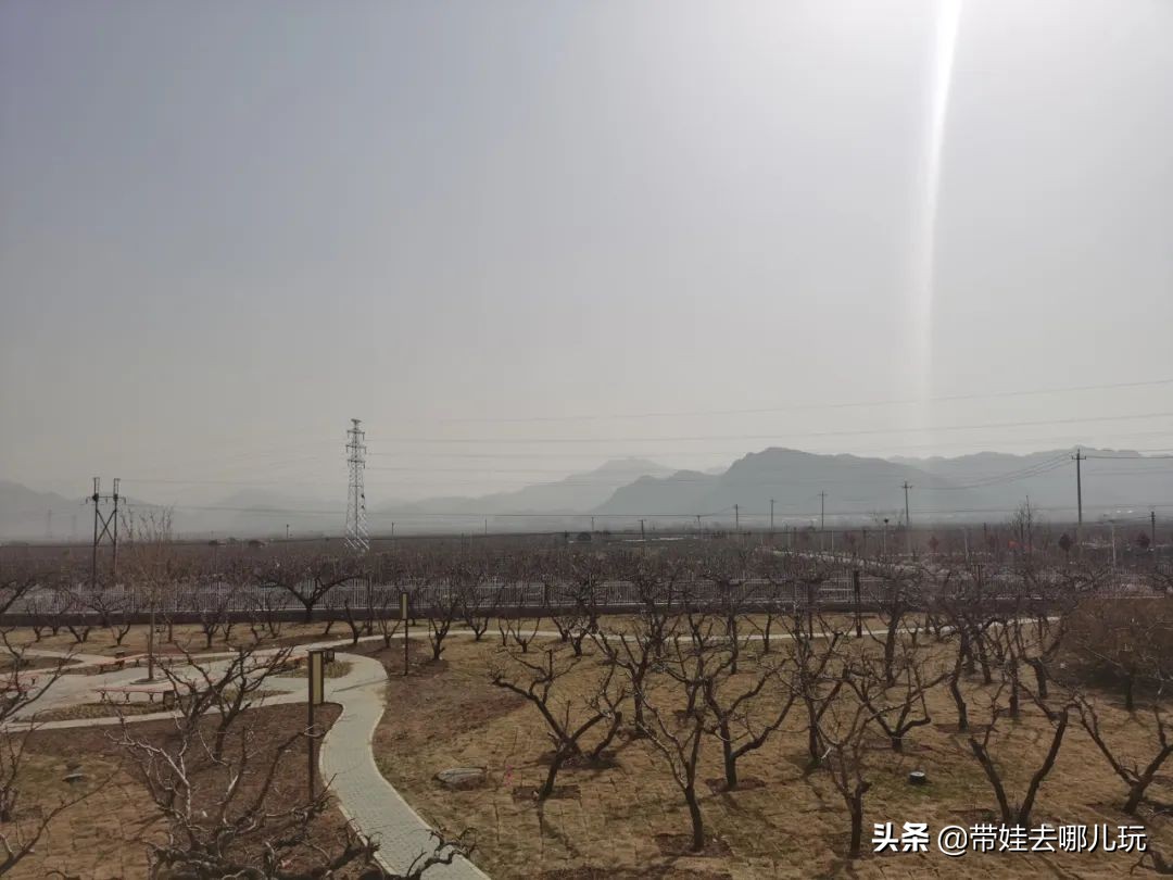 北京也有“象鼻山”?去不了桂林,可以来平谷饱眼福