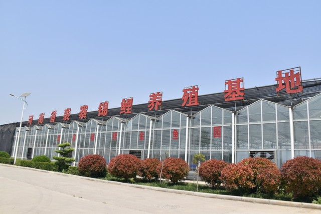 电商进农村农产品增收4000多万,电商正在成为农民增收的新亮点