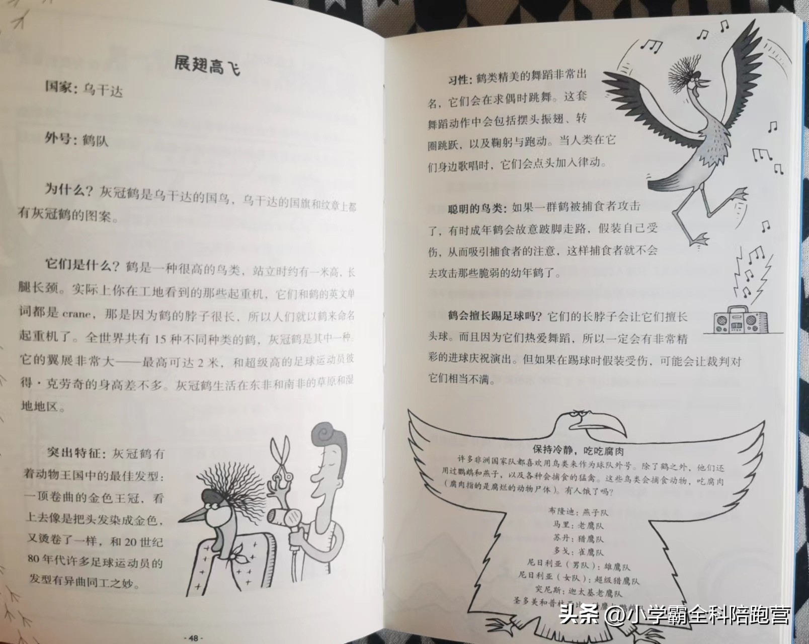 是我肤浅了,是我肤浅了搞笑原版