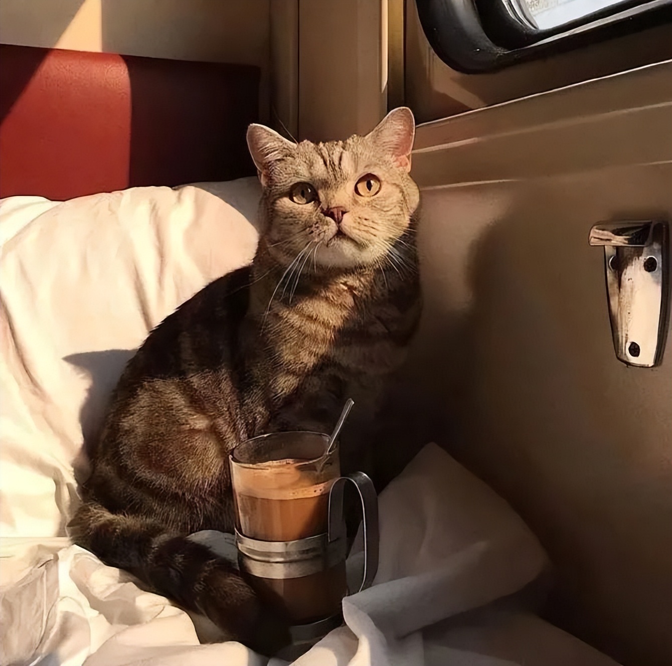 小朋友周末愉快的文案,周末愉快文案高级小众