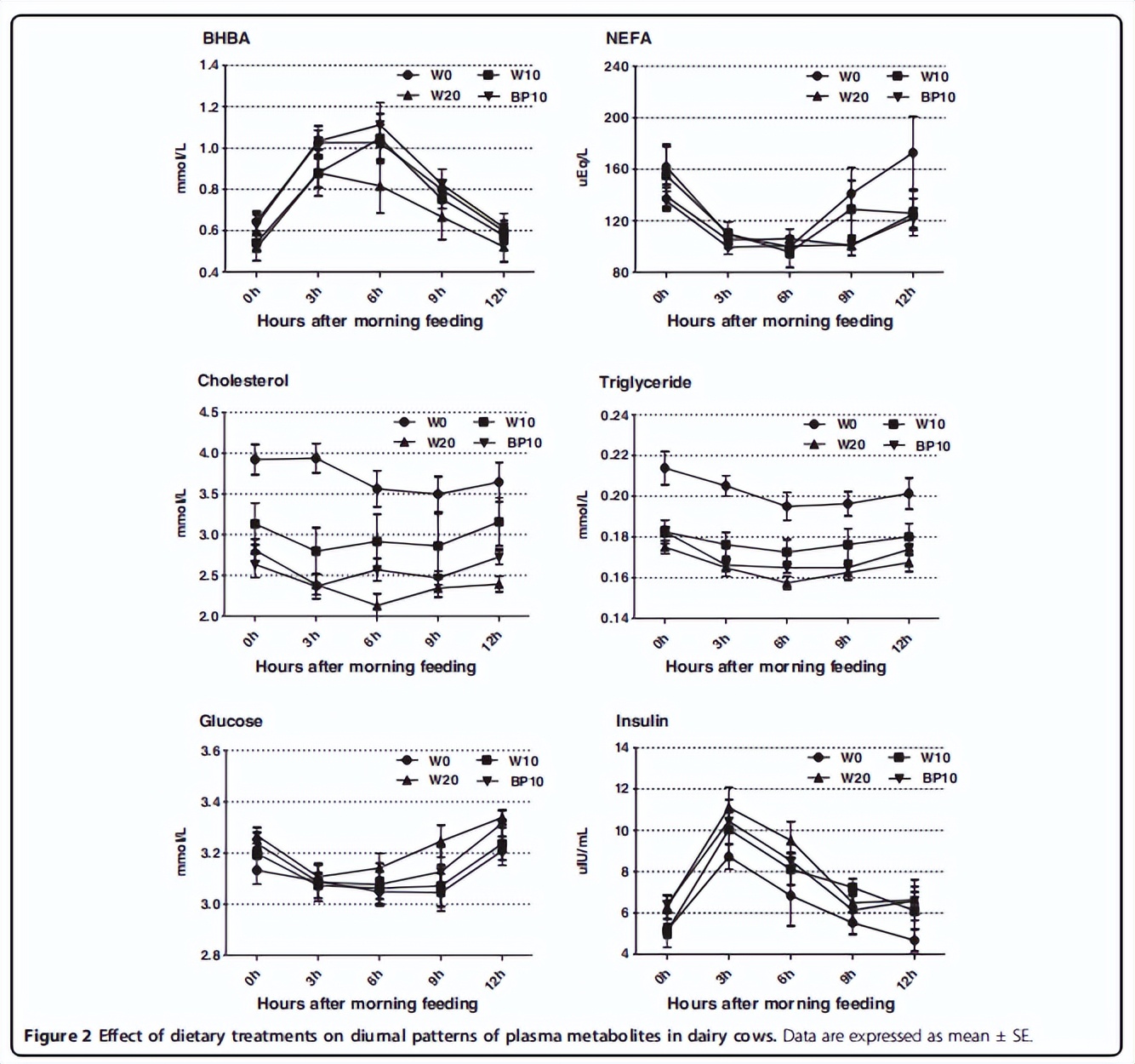 奶牛酸中毒怎么治疗最有效,奶牛瘤胃怎么改善