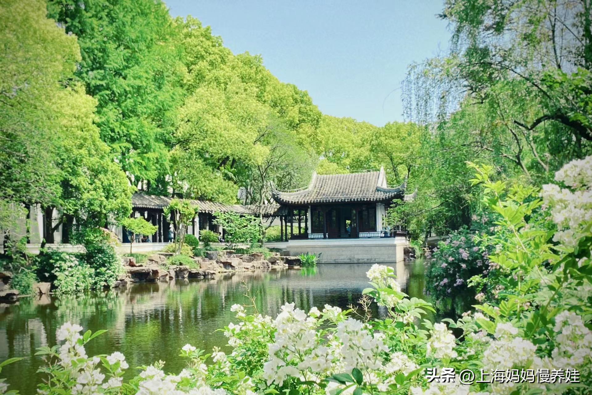 亲子旅游带着宝宝,太仓有什么亲子游玩的