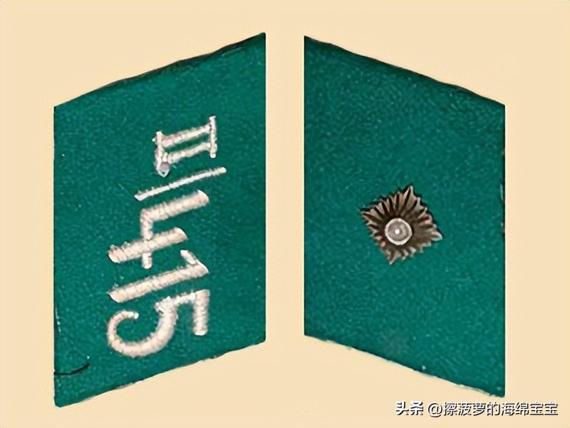 纳粹冲锋队用的什么枪,纳粹德军军衔图解