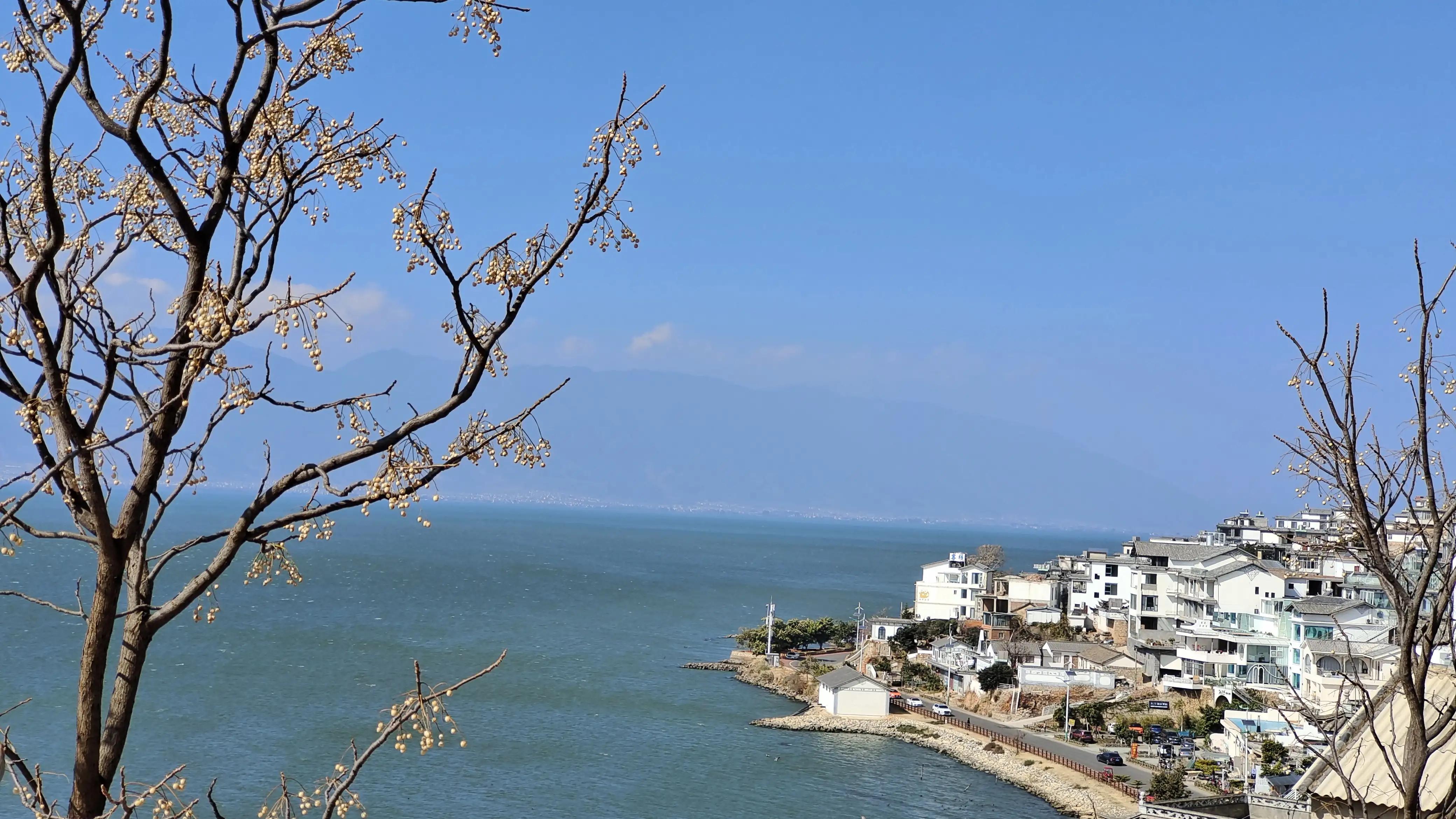 新能源汽车和油车驾驶感受,新能源车和燃油车驾驶感受哪个好