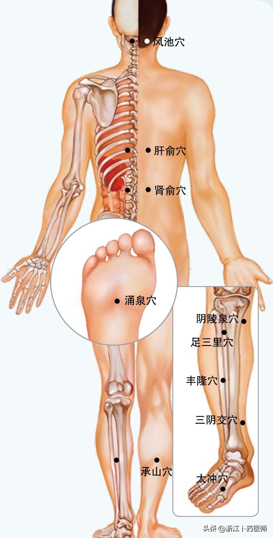 血压高按摩的穴位位置及功效,肝火旺引起血压高按摩什么穴位