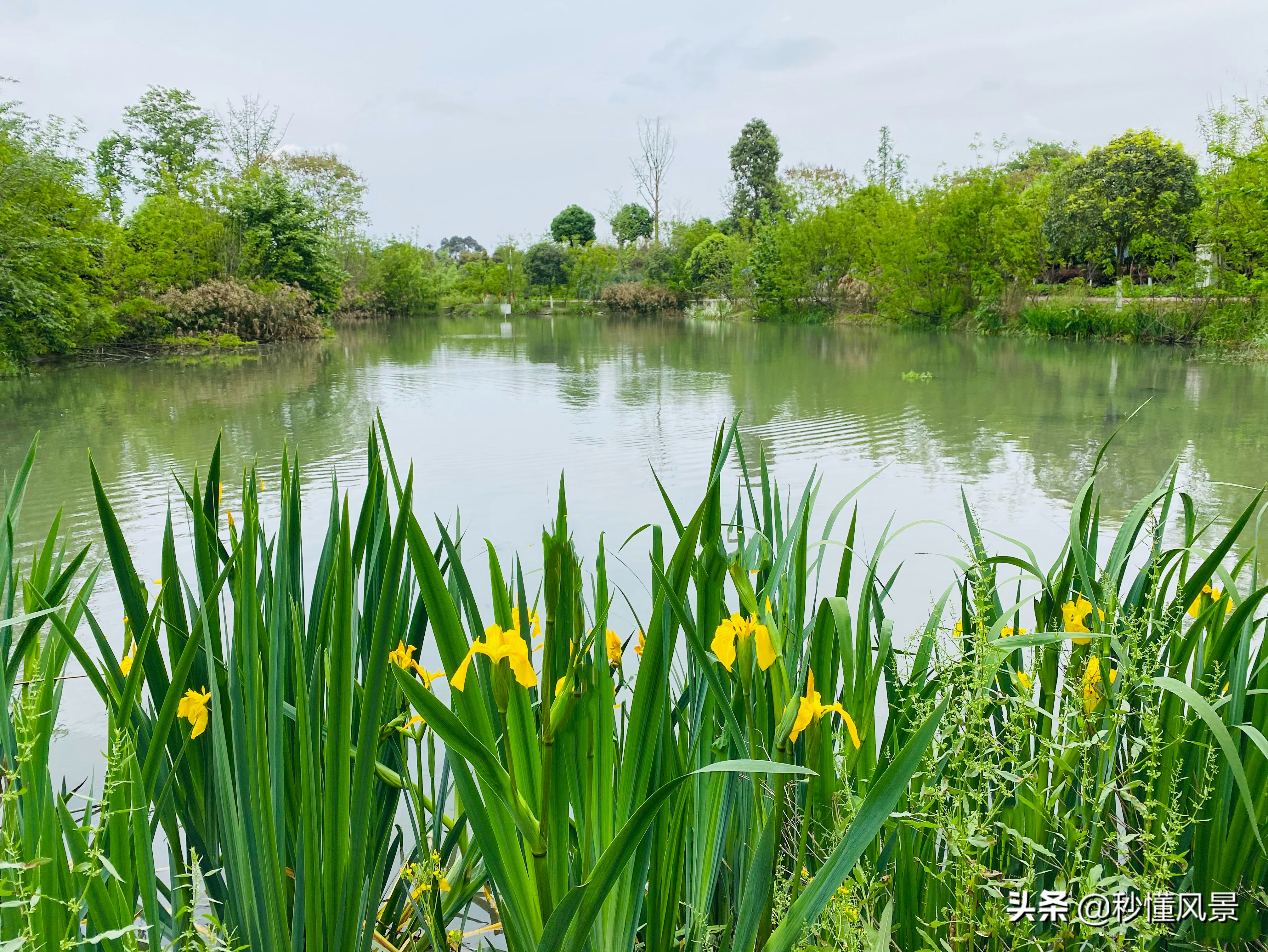 成都又潮又老的打卡胜地,现在成都周边网红景点一日游美景