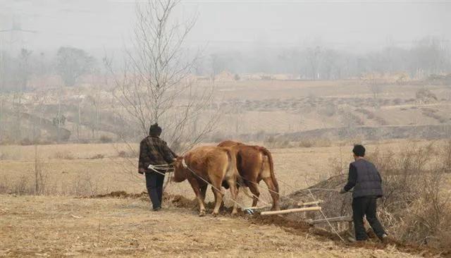 那些80后的歌曲还记得吗,还珠格格80后的朋友们还记得吗