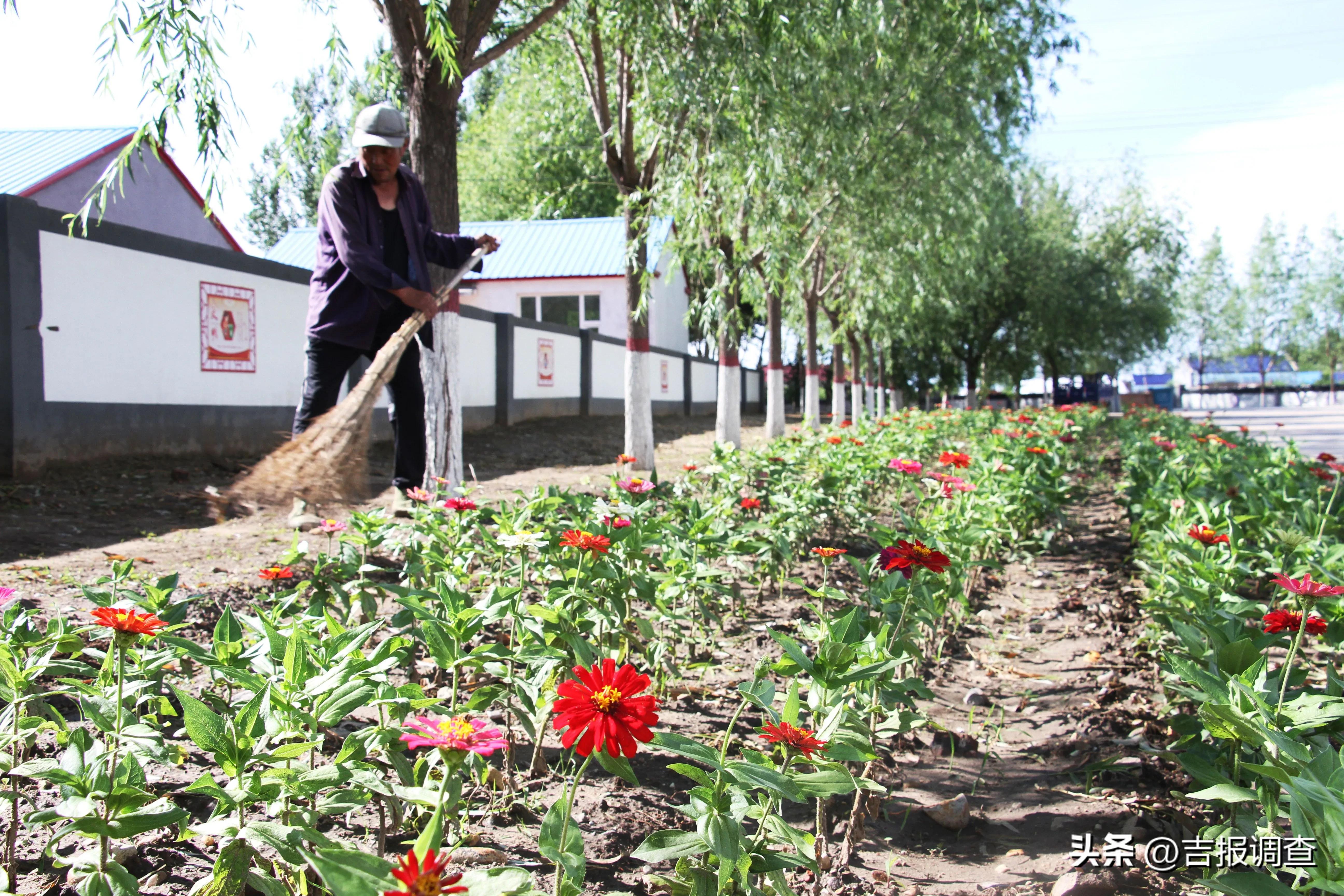 镇赉县黑鱼泡村,二龙村视频