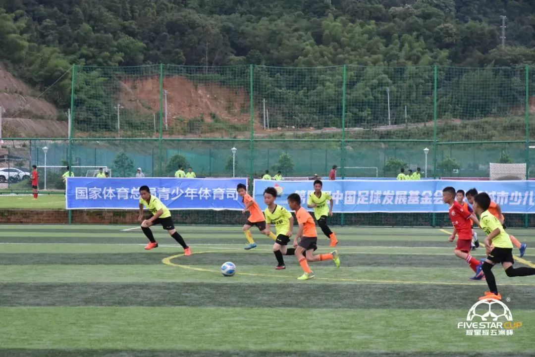 广西贺州中华杯足球赛,第五届中国足球发展基金会杯