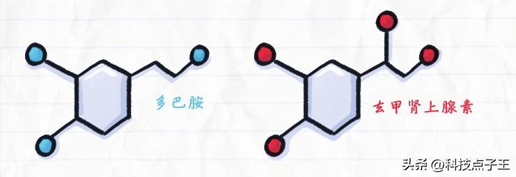 无法控制欲望的心灵,难以自控的饮酒欲望