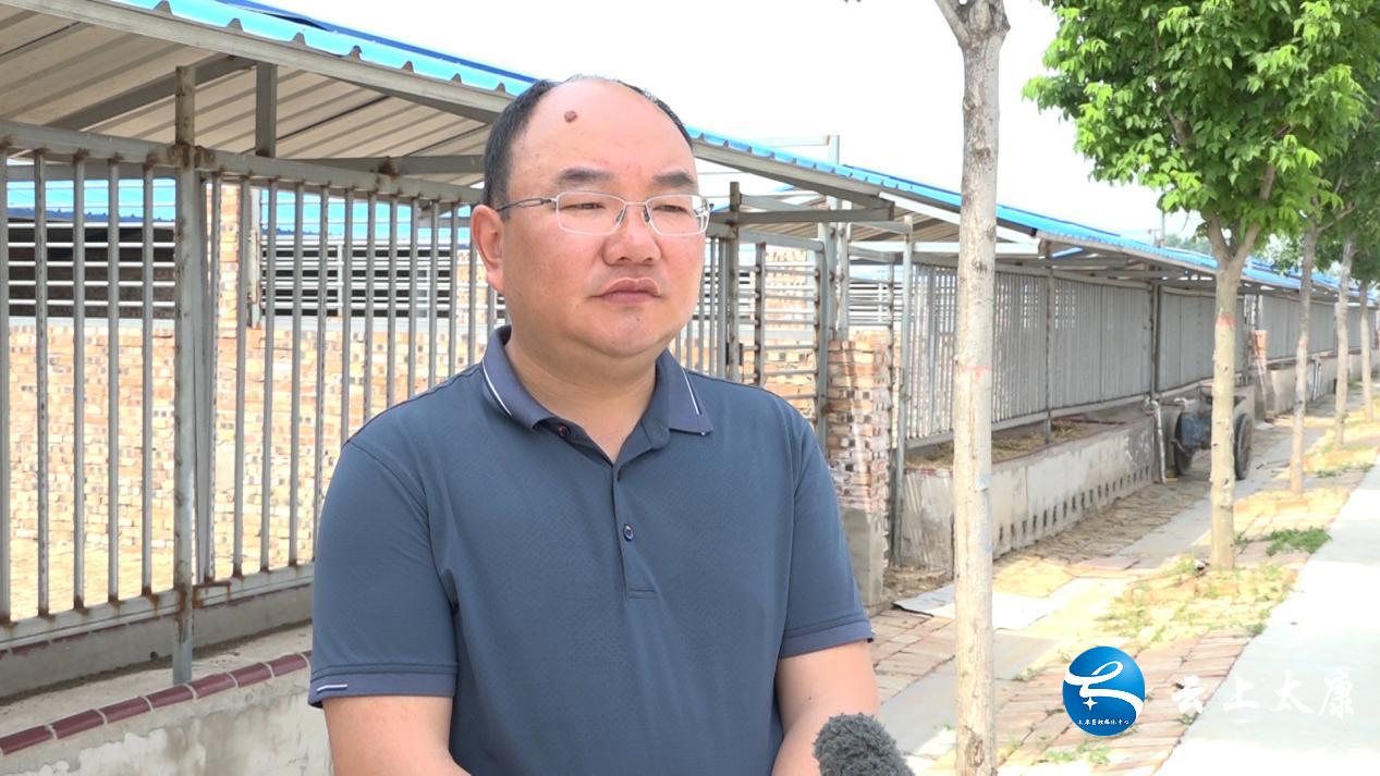 康马镇乡村振兴,太康乡村振兴