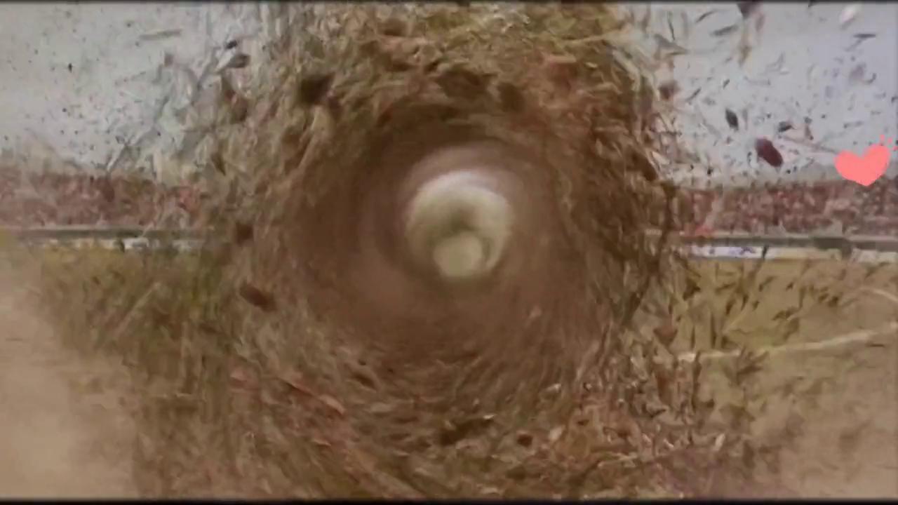 阿梅救场,少林足球阿梅出来救场