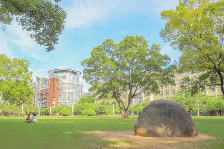 大学志愿最热门专业排名,大学填报志愿最好的七个专业