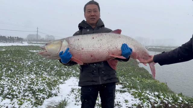 钓鱼人必知的鱼类,钓鱼人钓到哪些超级大的鱼