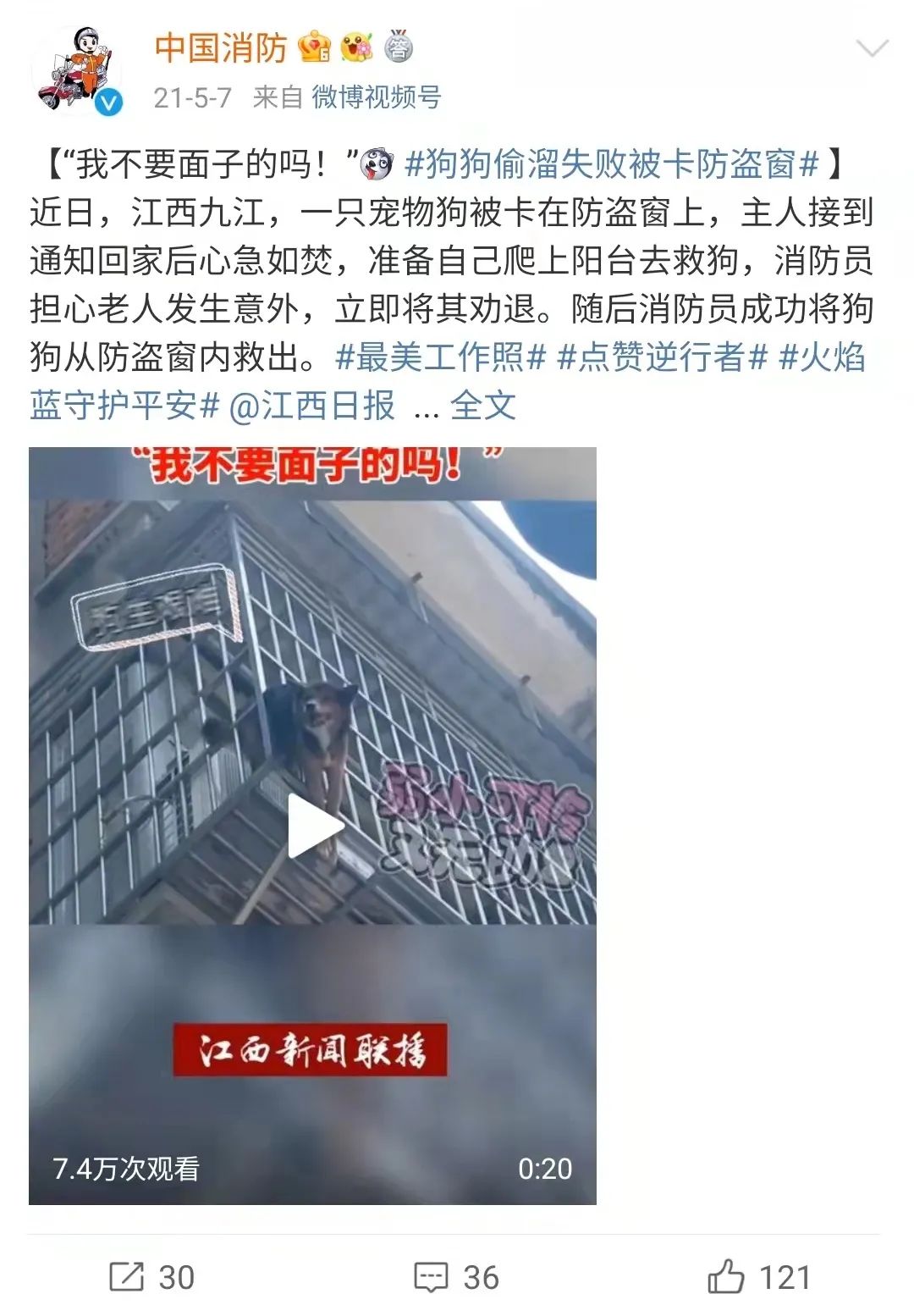 主人被隔离宠物怎么办,主人确诊了猫狗怎么办