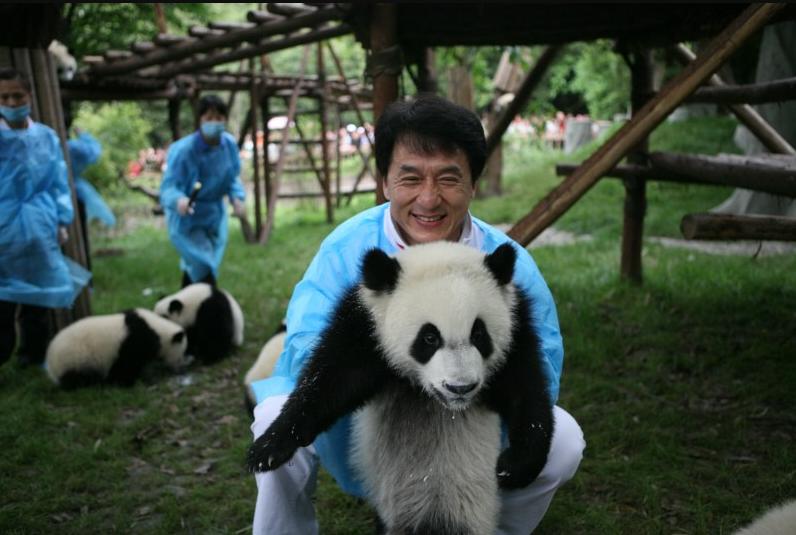 多位明星为国宝丫丫发声！黄晓明惹争议，身为熊猫大使出面太晚