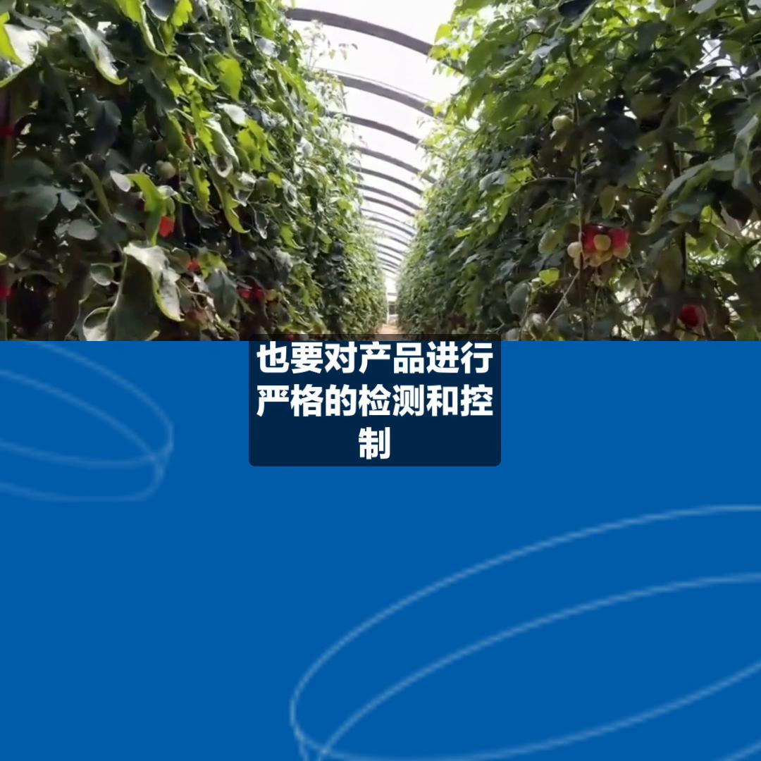 麦克虎有机肥生产过程！#农业技术推广