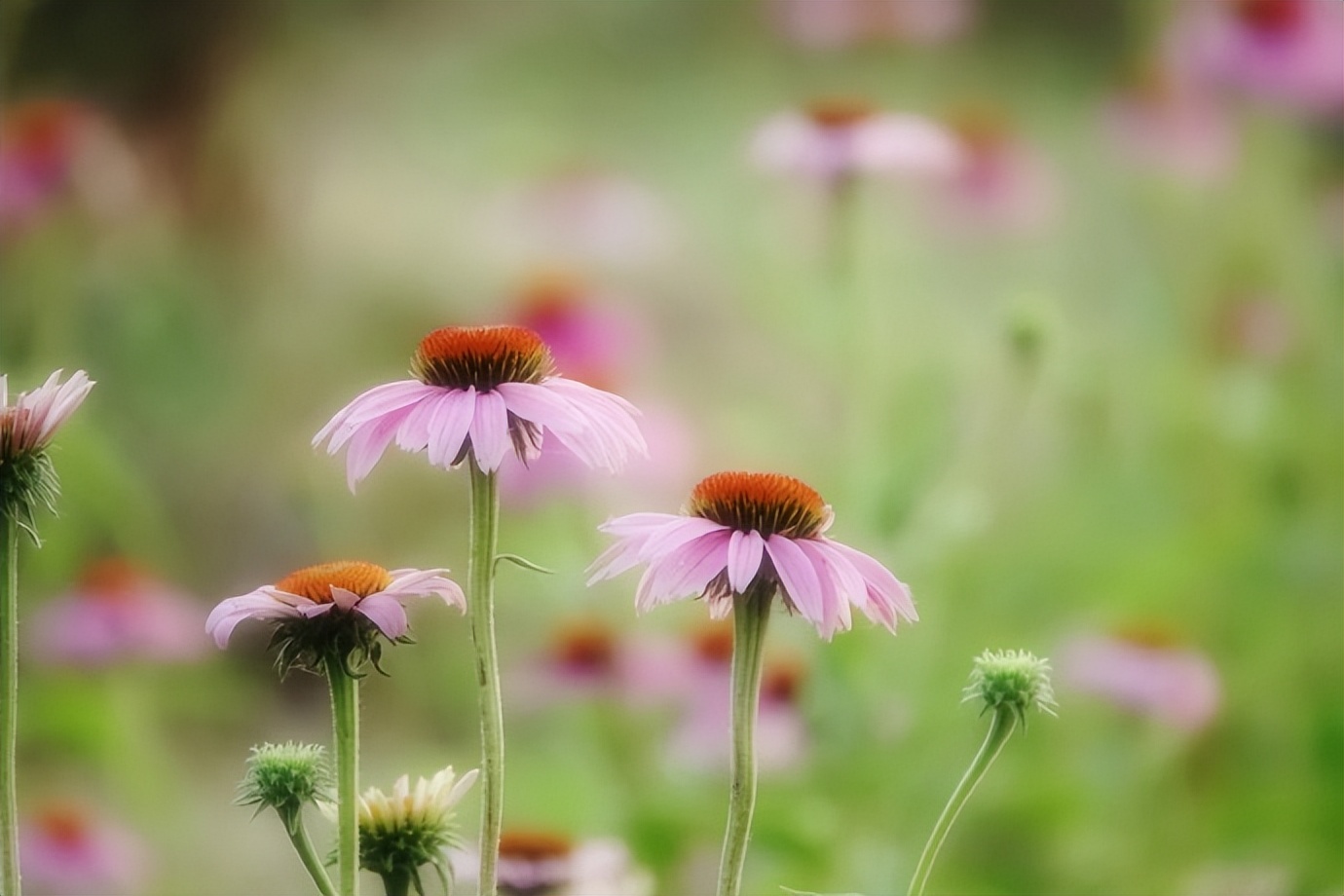 女人这么称呼你说明是看上你了,女人这样称呼你说明有点喜欢你