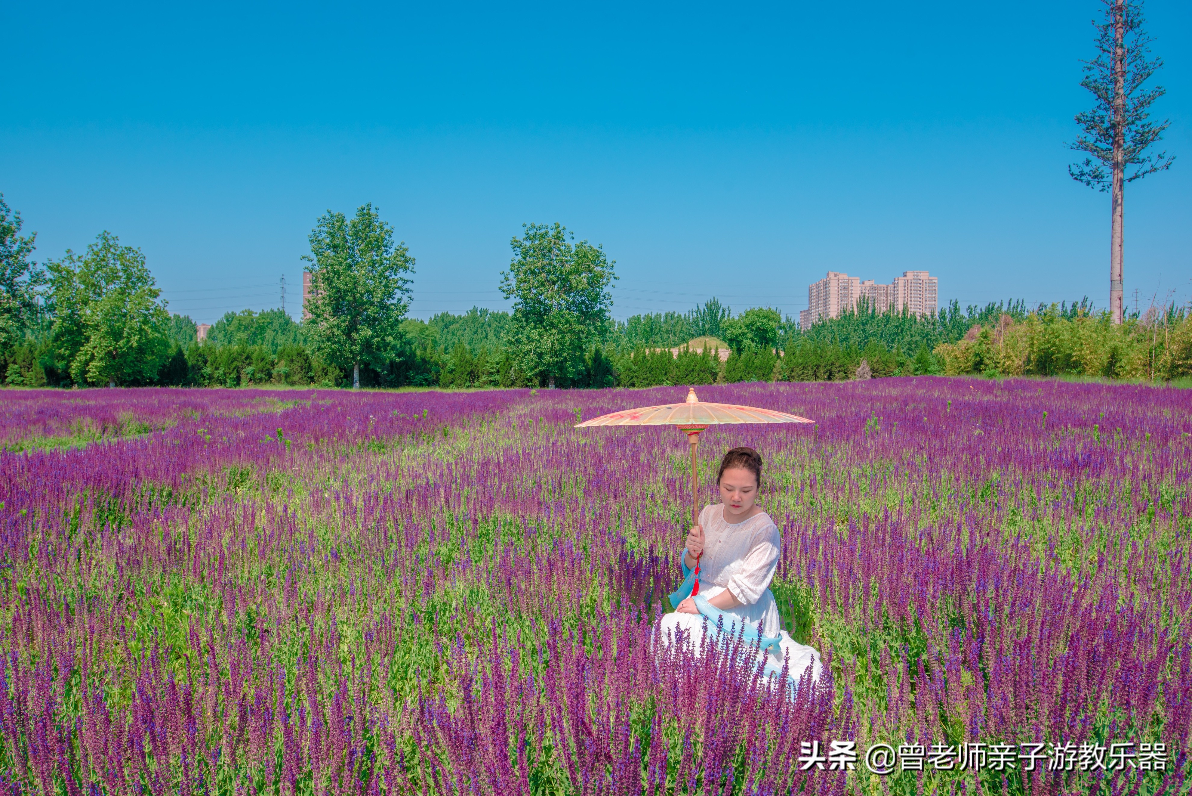 汉长安城未央宫遗址公园露营电话,汉长安城遗址公园露营最新