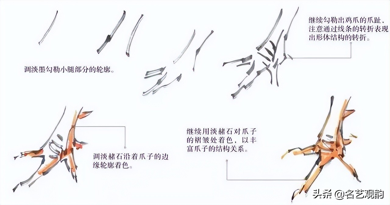 十二生肖鸡画法步骤,鸡的画法简笔画步骤