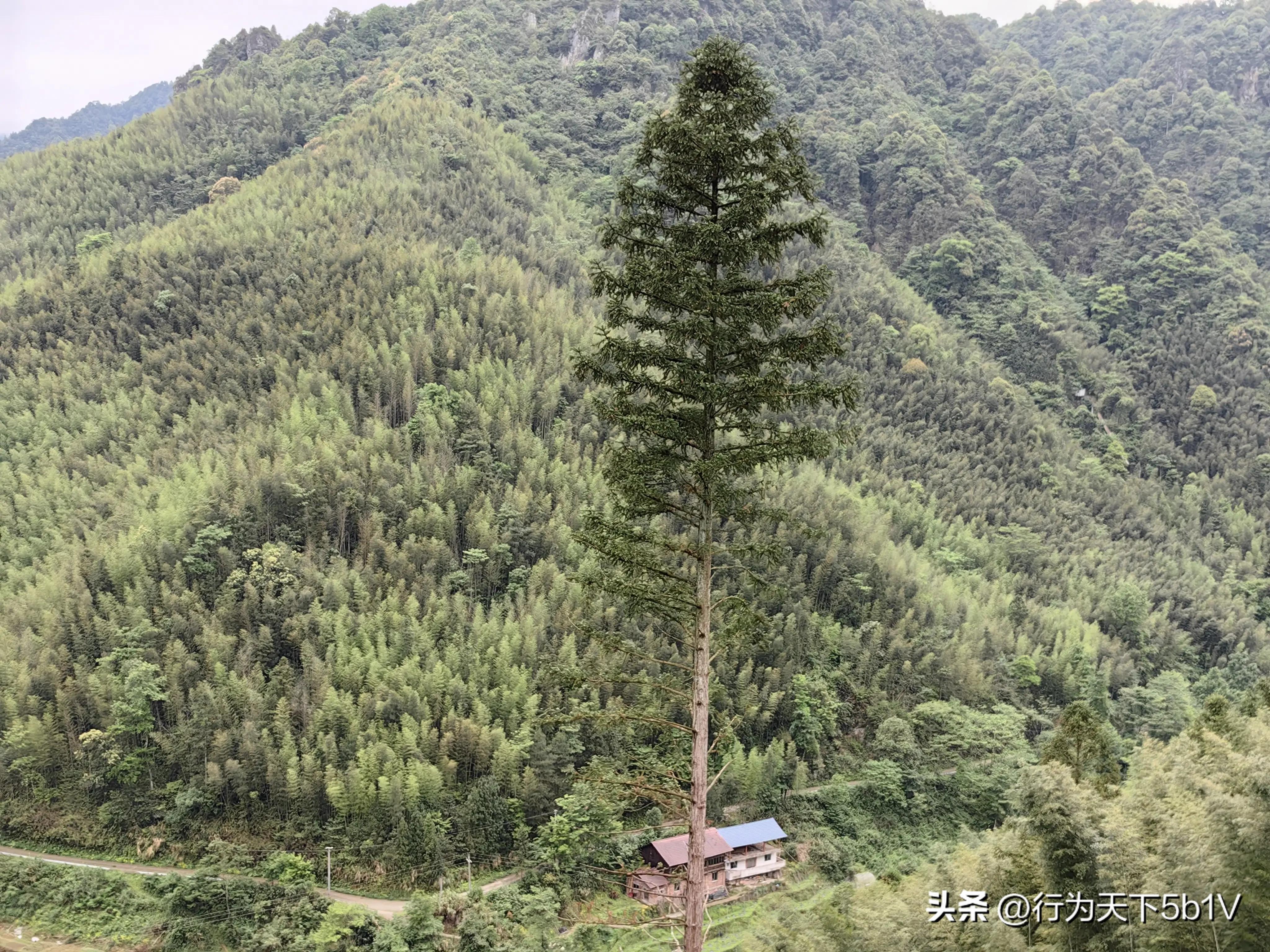 【探秘宛田红滩瀑布溯溪梦江吉翁瀑布】穿越花坪神秘风景线
