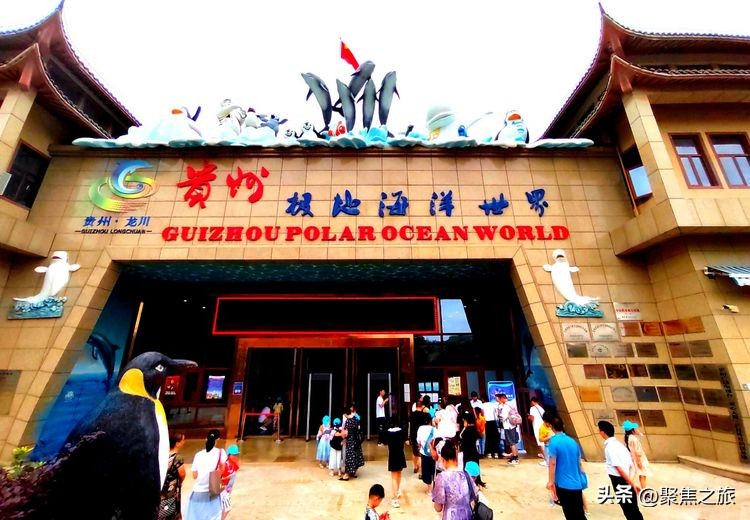 贵州海洋极地海洋馆,极地海洋世界小宝宝