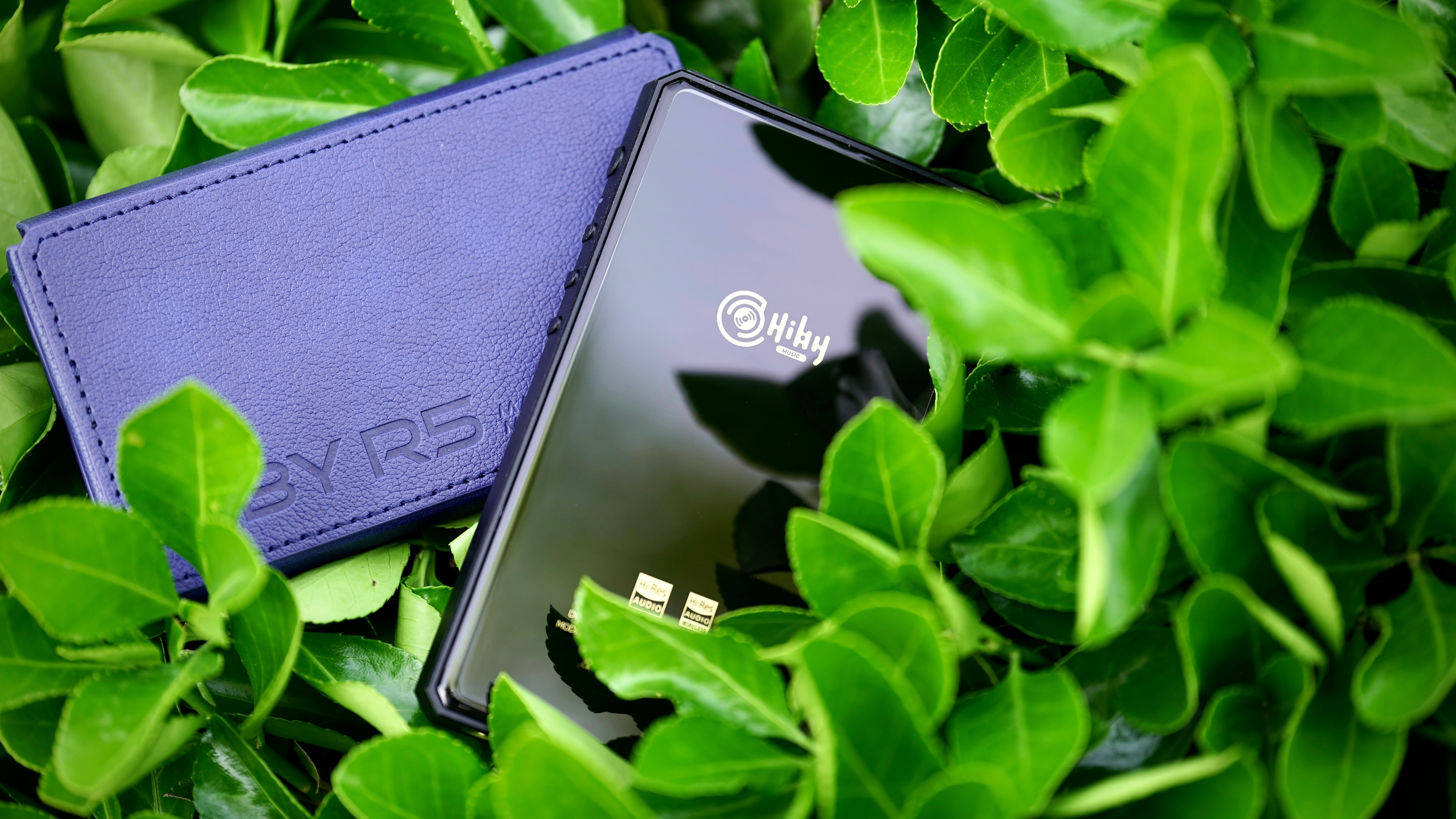 海贝r5是真平衡播放器吗,海贝r5第二代支持哪些音频格式