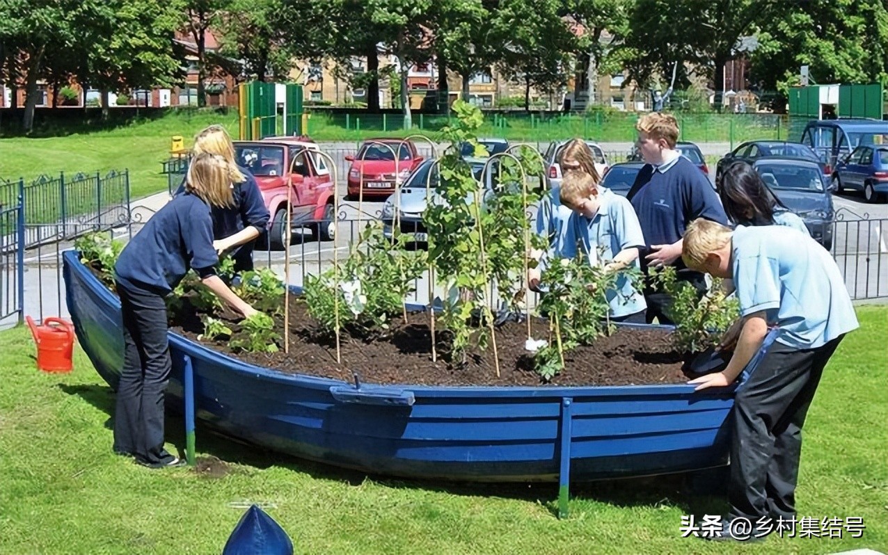鎵樺痉鎽╃櫥,鑻卞浗鎵樺痉鎽╃櫥灏忛晣